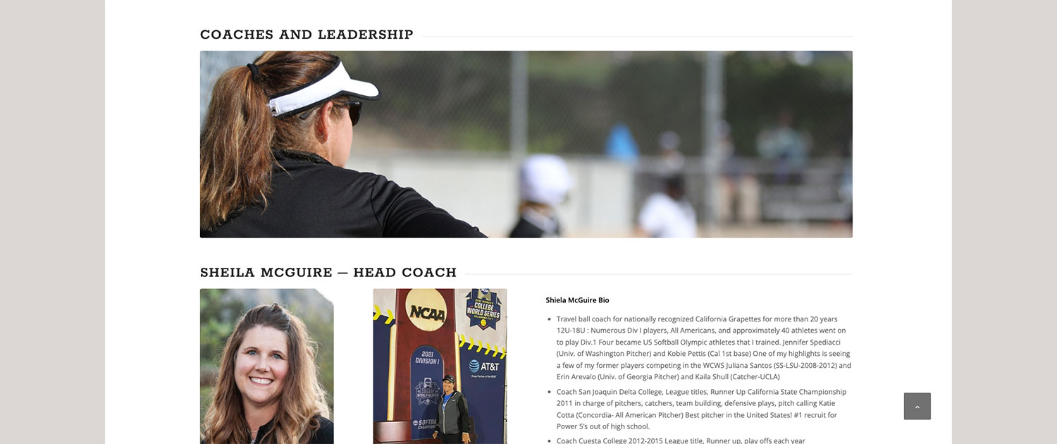 Projects - Aspire Coach Section header image